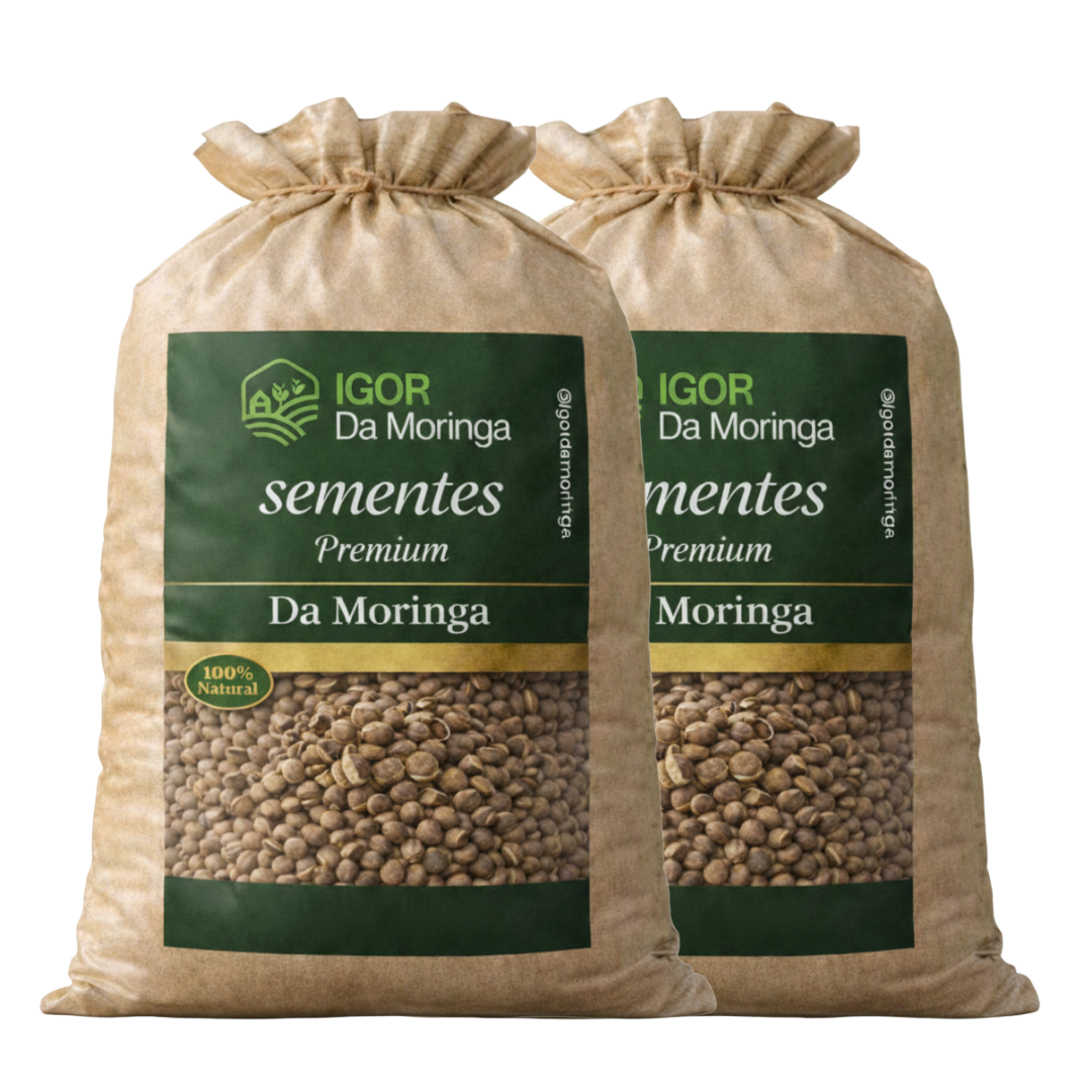 20kg de Sementes de Moringa